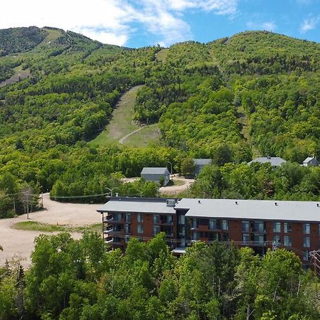 Les Appartements Du Massif De Charlevoix Petite-Riviere-Saint-Francois Exterior photo