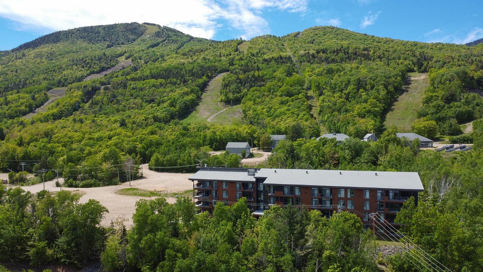 Les Appartements Du Massif De Charlevoix Petite-Riviere-Saint-Francois Exterior photo